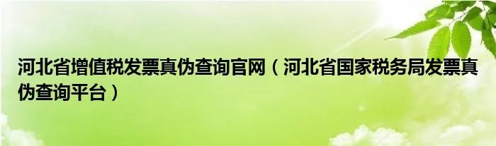 河北省增值税发票真伪查询官网（河北省国家税务局发票真伪查询平台）