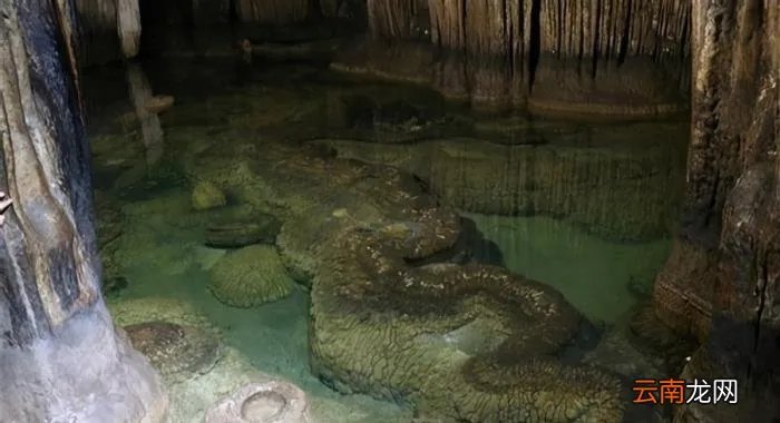 湖南一山洞发现真龙 真龙被首次发现组图