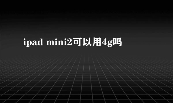 ipad mini2可以用4g吗