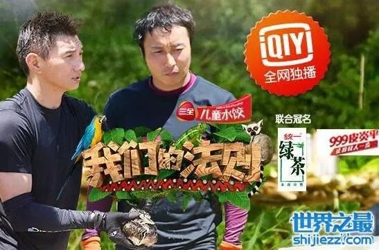 安徽卫视白鹿原糖果手机,冠名播出海豚第一剧场