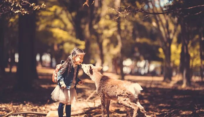 五行属木的字大全 五行属木又寓意好的字