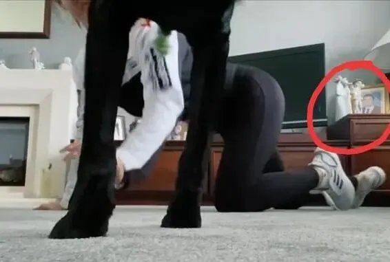 王菊新恋情疑曝光是怎么回事 王菊新恋情疑曝光是什么情况