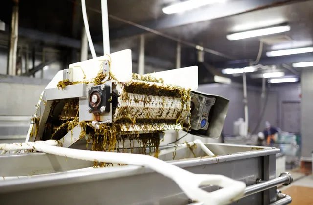 食品机械与设备的作用是什么 食品机械与设备的特点有哪些