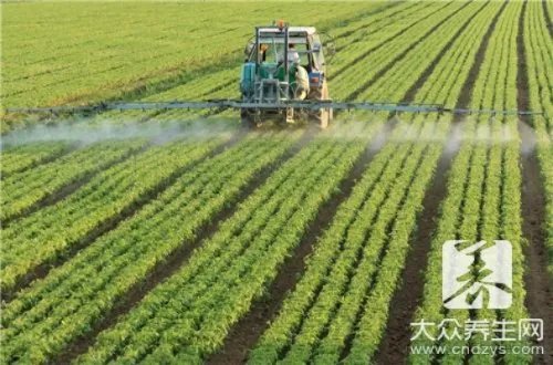 农药残留的检测方法是什么？