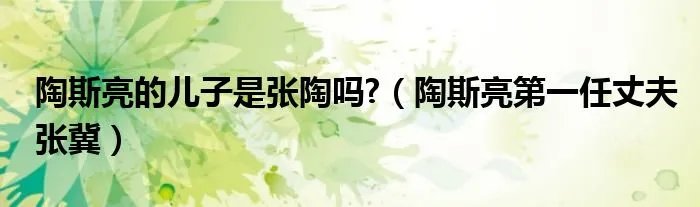 陶斯亮的儿子是张陶吗?（陶斯亮第一任丈夫张冀）