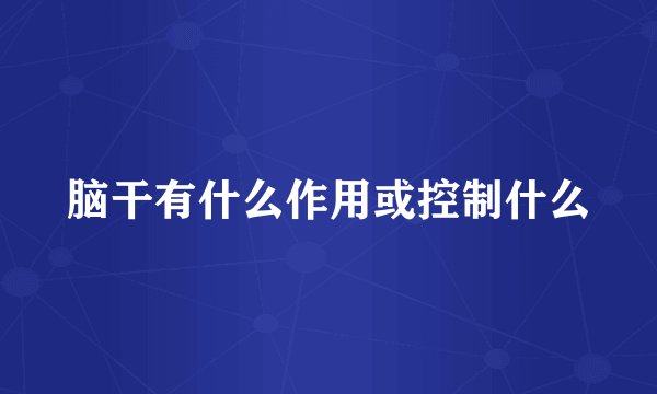 脑干有什么作用或控制什么