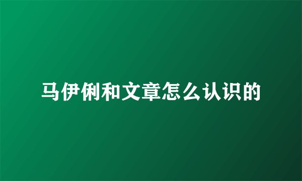 马伊俐和文章怎么认识的