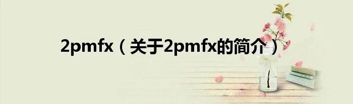 2pmfx（关于2pmfx的简介）