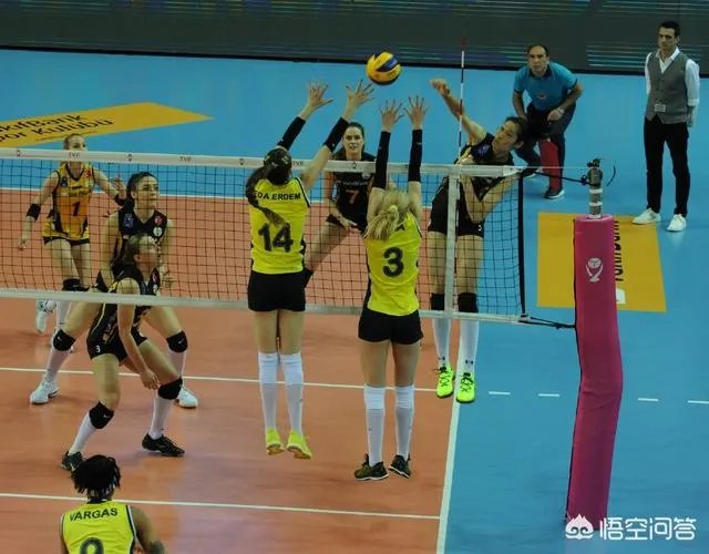 有人说朱婷下赛季回国参加排超联赛肯定会加盟一支有资格打世俱杯的球队，你怎么看？