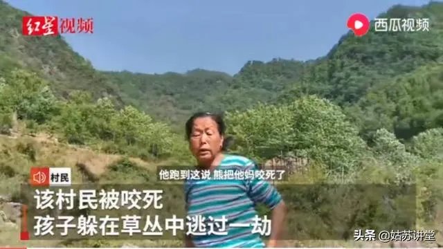 四川江油黑熊咬死3位村民,如何看待黑熊频频伤人事件?