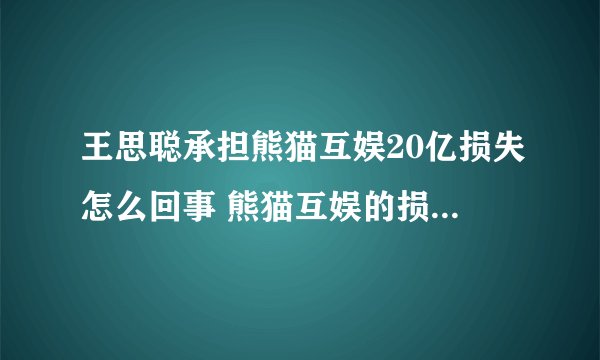 王思聪承担熊猫互娱20亿损失怎么回事 熊猫互娱的损失为何全是王思聪承担