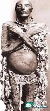 男子发现木乃伊猫 千年女木乃伊产下活婴