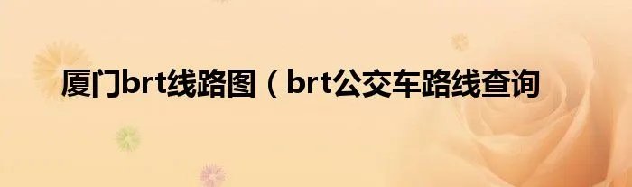 厦门brt线路图（brt公交车路线查询
