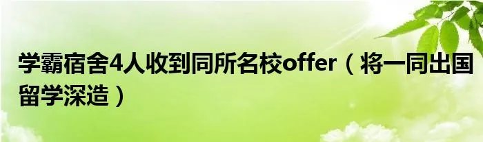 学霸宿舍4人收到同所名校offer（将一同出国留学深造）