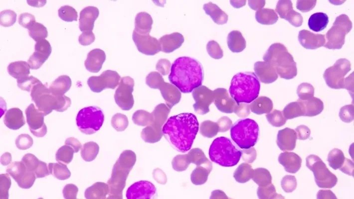 疫情战报31省份新增本土确诊46例 江苏19例江苏疫情防控的最新进展