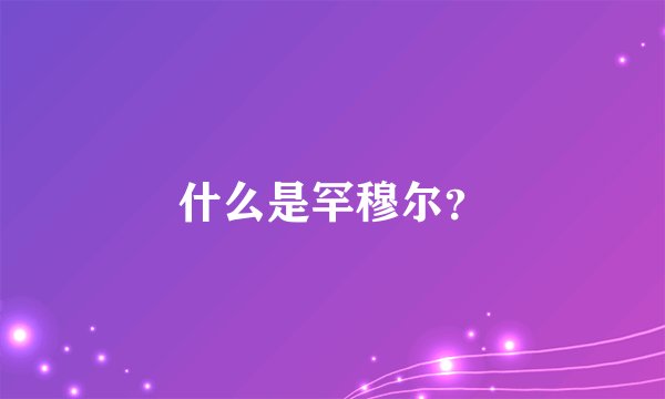 什么是罕穆尔?