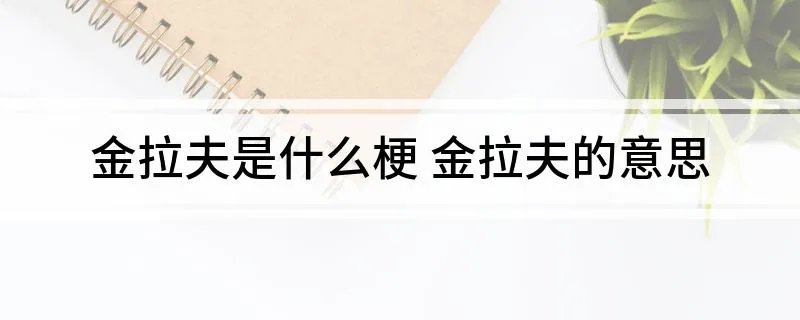 金拉夫是什么梗 金拉夫的意思