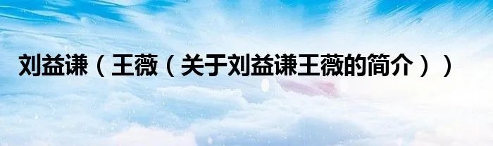 刘益谦（王薇（关于刘益谦王薇的简介））