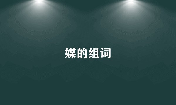 媒的组词