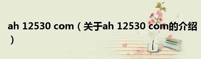 ah 12530 com（关于ah 12530 com的介绍）