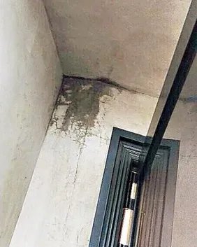 王祖蓝装修被坑500万的教训告诉我们……