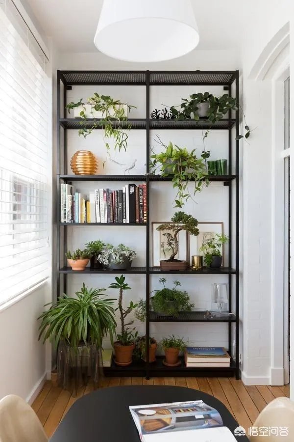 长方形的小阳台怎么打造小花园？