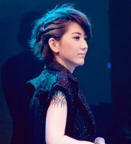 刘忻滚出娱乐圈是怎么回事？ 回顾刘忻洪辰结怨全过程