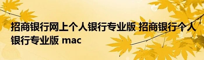 招商银行网上个人银行专业版 招商银行个人银行专业版 mac