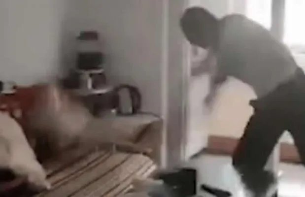 遭抱摔致死幼童是父母分手后出生 父亲抱摔幼童死亡后续来了