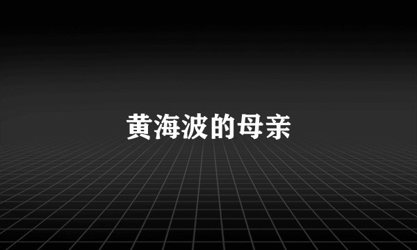 黄海波的母亲
