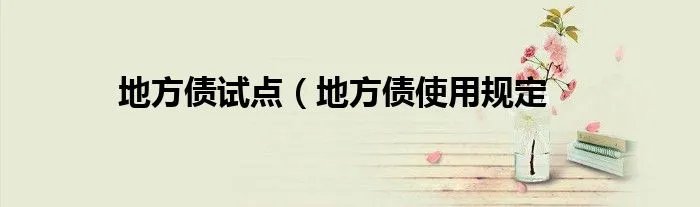 地方债试点（地方债使用规定
