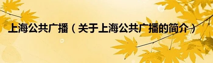 上海公共广播（关于上海公共广播的简介）