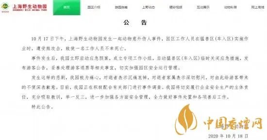 上海野生动物园发生熊伤人事件 现场照片曝光
