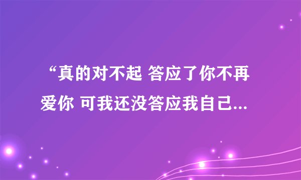 “真的对不起 答应了你不再爱你 可我还没答应我自己”是哪个歌?