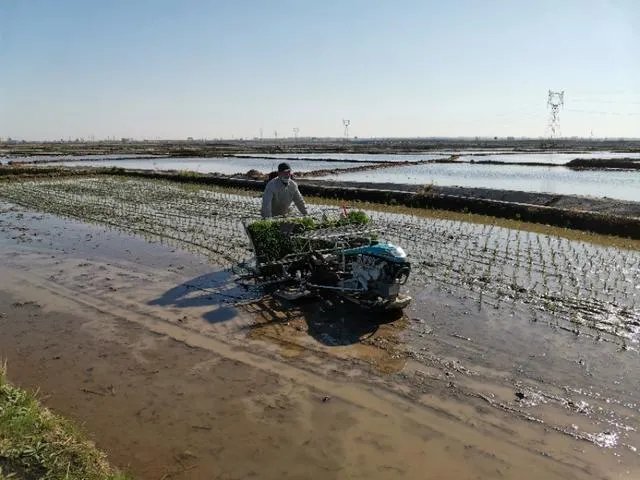 舒兰疫情后，现在农民种地怎么办？