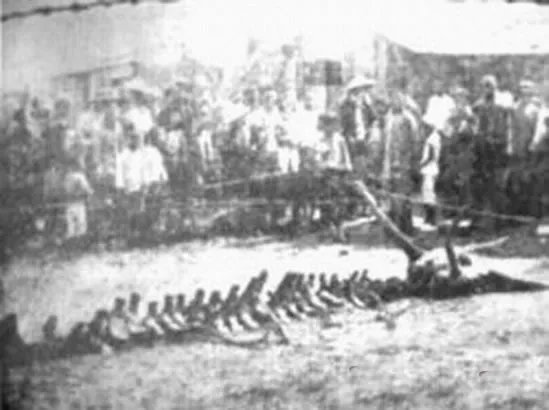 村民修路竟然意外挖出千年真龙(组图)