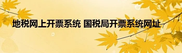 地税网上开票系统 国税局开票系统网址