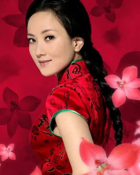 歌唱家张燕老公大曝光 揭秘其简历及个人生活