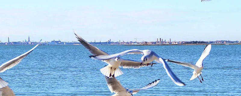 昆明湖在什么地方 昆明湖在哪里