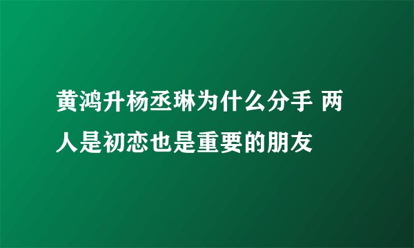 黄鸿升杨丞琳为什么分手 两人是初恋也是重要的朋友