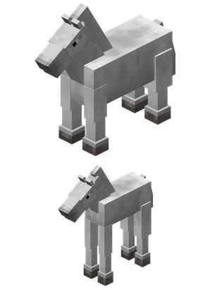 我的世界1.6.2马为什么吃不了南瓜?怎么吃南瓜?