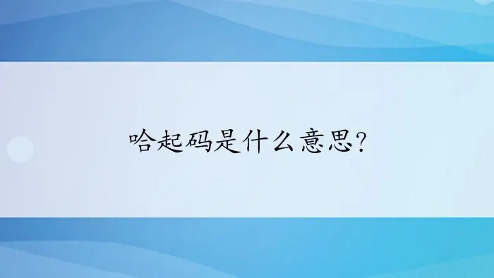 哈起码是什么意思?