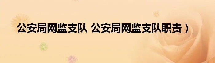 公安局网监支队 公安局网监支队职责）