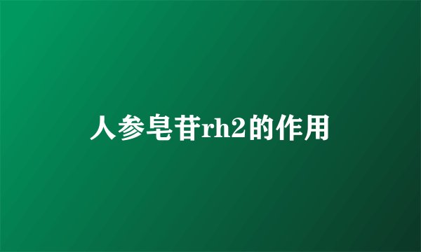 人参皂苷rh2的作用