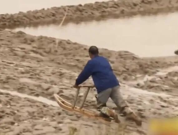 泥马是什么意思？是一种抓小海鲜的工具