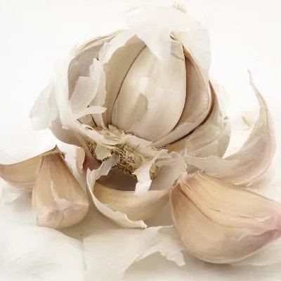 妇幼保健院在线医生