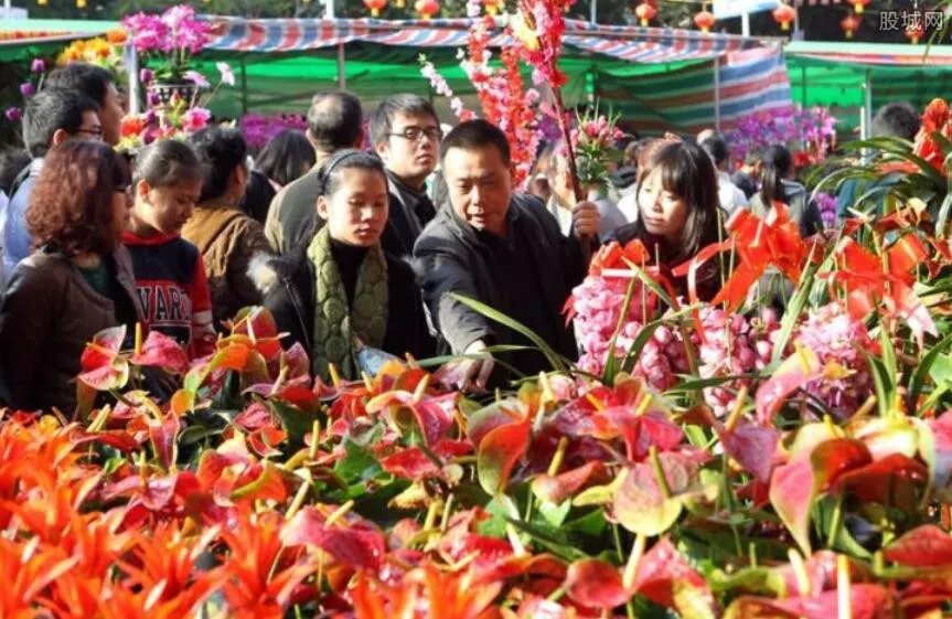 友好人家免费过年 到广州逛花市过大年