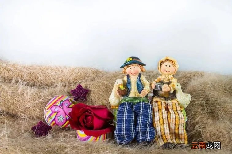 DAD是什么意思中文 dad是什么意思中文是什么意思啊