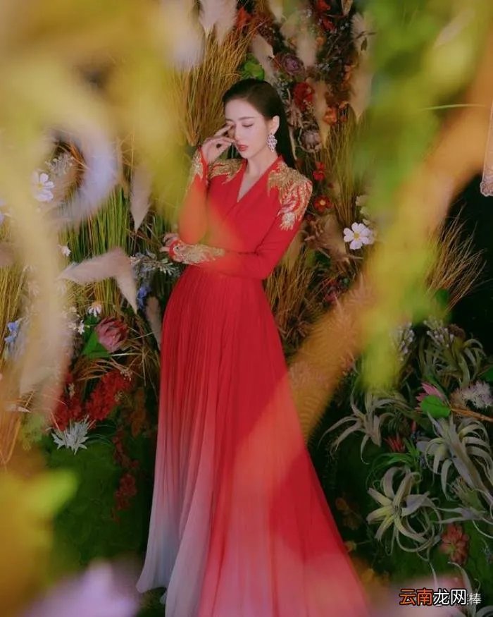 令人惊艳的春晚主持人服装 春晚主持人服装