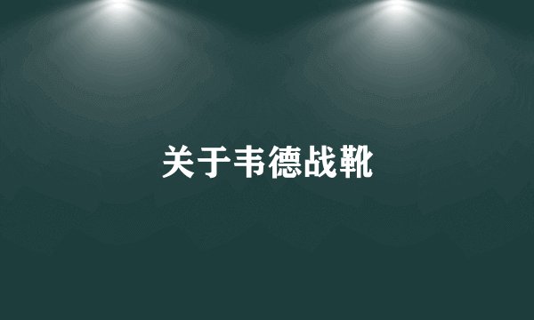 关于韦德战靴